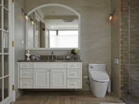 葫芦娃药业集团 ——对话东盟 共谋发展